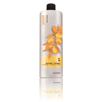 Кондицiонер з аргановою олією Elgon Argan Supreme Conditioner 1000 мл