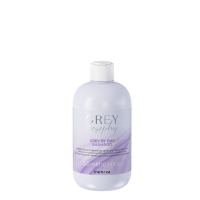 Шампунь тонуючий для натурального, сивого та блондованного вол Inebrya Grey By Day Shampoo 300 мл