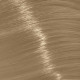 Крем-фарба з вмістом аміаку Trend Toujours Color Professional Color Care, 100 мл