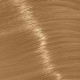 Крем-фарба з вмістом аміаку Trend Toujours Color Professional Color Care, 100 мл