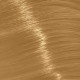 Крем-фарба з вмістом аміаку Trend Toujours Color Professional Color Care, 100 мл