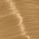 Крем-фарба з вмістом аміаку Trend Toujours Color Professional Color Care, 100 мл